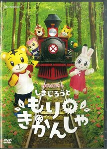 G00032498/DVD/[ Shimajiro концерт / Shimajiro .... .....]