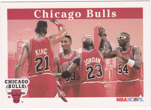 Bulls TC Michael Jordan/Pippen/Grant 1992-93 Hoops 269