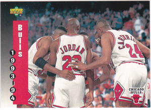 Bulls Sked Michael Jordan/Pippen 1993-94 Upper Deck 213