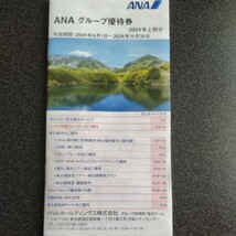 【送料無料】「最新」ANA　株主優待券1枚＆ANAグループ優待券1冊_画像2