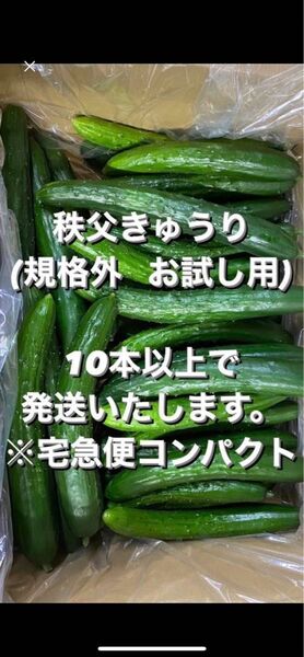 秩父きゅうり(規格外)10本以上※宅急便コンパクトで発送します。