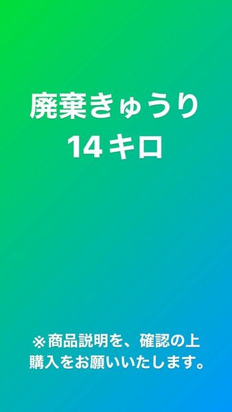 廃棄分 きゅうり