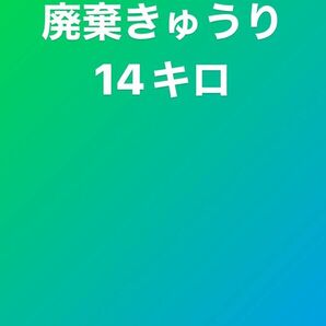 廃棄分 きゅうり　14キロ※発送までお時間いただいてしまう場合がごさいます。ご承知の上、お手続きをお願いいたします。