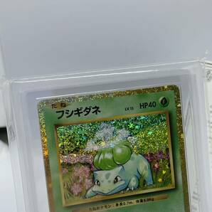 ARS10 フシギダネ PSA ポケモンカード 鑑定 クラシックの画像3