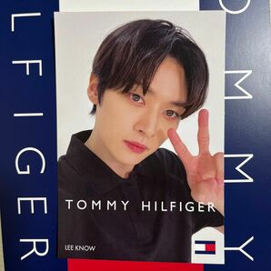 リノ　tommy hilfiger ポストカード トミー スキズ 