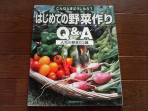 B66　はじめての野菜作りQ&A　人気の野菜53種 (主婦の友生活シリーズ―こんなときどうしたら?) 　2003年発行