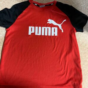 PUMA Tシャツ