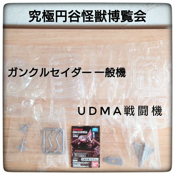 究極円谷怪獣博覧会 UDMA戦闘機２機、ガンクルセイザー一般機セット