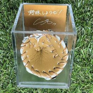 非売品　ロサンゼルス　ドジャース　大谷翔平　野球しようぜ！　グローブ　ディスプレイ　