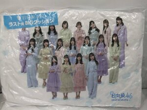 【未使用・未開封品】日向坂46くじ　ラスト賞　ＢＩＧクッション　　(管理番号：060102）