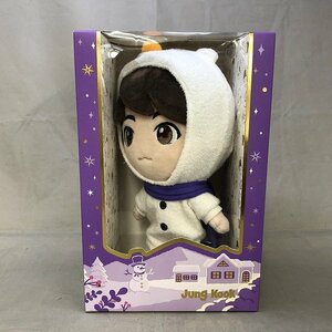 【未使用品】TinyTAN 2020 Holiday Ver. Plush Toy (Jung Kook) BTS(防弾少年団) ヌイグルミ（管理番号：046111）