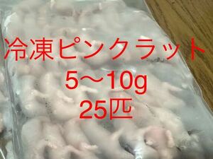 冷凍ピンクラット　5〜10g 25匹