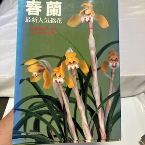 日本春蘭 （趣味のラン科植物シリーズ　１） 平野綏／編著