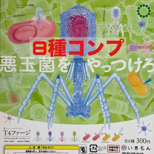 [8種コンプ]サイエンステクニカラー　T4ファージマスコット&ボールチェーン　ガチャガチャ ガシャポン マクロファージ DNA