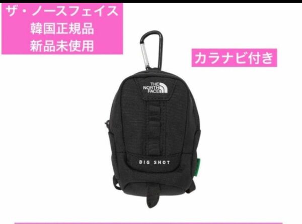 【正規品】THE NORTH FACE ノースフェイス　ミニビックショット　新品 ブラック リュックサック 軽量 スポーツ 