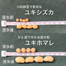 大人気 北海道産 大豆 25kg 匿名配送 自家製 味噌 納豆 豆腐 豆乳 国産 小豆 ユキホマレ_画像2