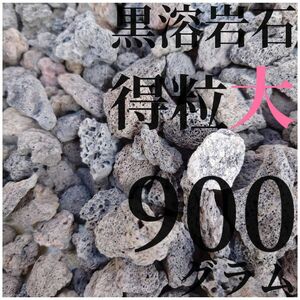 溶岩石 得粒大 900g (3.2から3.7cmほどの大きさ)