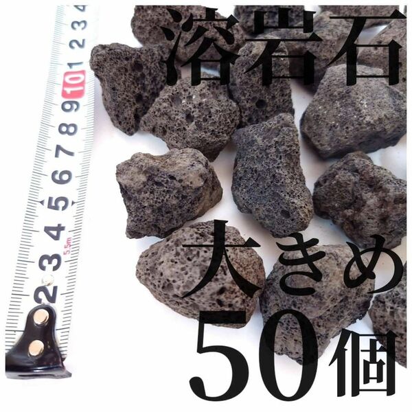 溶岩石 大きめ50個(テラリウム・コケリウム・アクアリウムにぴったり)