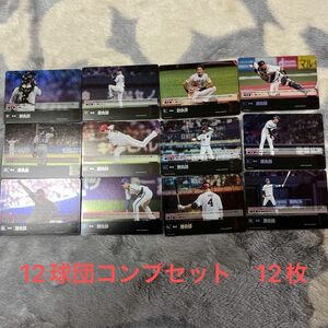 プロ野球カードゲーム　ドリームオーダー　プロモーションパック2024 Vol.1　コンプセット　12種　12枚　PR