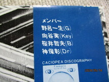 LP 帯付・CROSS POINT　クロス・ポイント　　/ Casiopea　カシオペア　・和ブギー・　シテイ・ポップ・ALFA ALR-28029　良品・試聴済_画像6