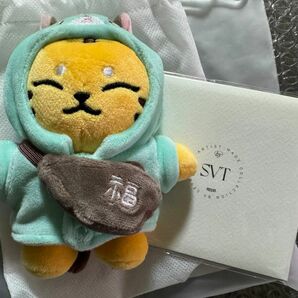 SEVENTEEN セブチ artist made ホシ HOSHI PLUSH KEYRING タムタム キーリング