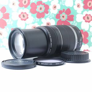 ★Canon EF-S 55-250mm F4-5.6 IS★手振れ補正★望遠★