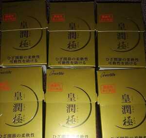 送料無料　皇潤極　100粒×6 エバーライフ　期限2024.12 皇潤　こうじゅん　こうじゅんきわみ