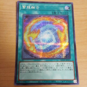 遊戯王 雷龍融合 シークレット