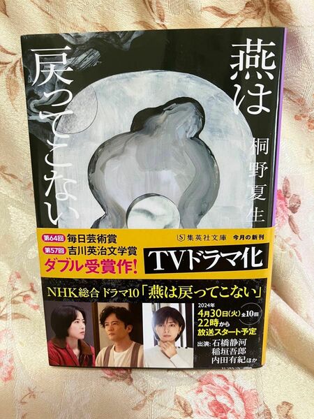 燕は戻ってこない （集英社文庫　き１６－６） 桐野夏生／著