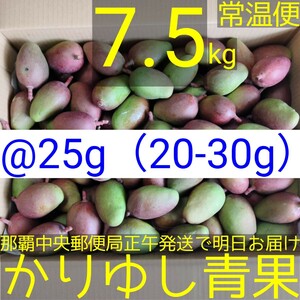 〈@25g 20-30g〉沖縄県産 摘果マンゴー/青マンゴー約7.5kg【常温便無料】①