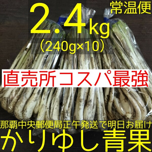 〈直売所コスパ最強〉沖縄県産　Ｗさんの島らっきょう2.4kg以上【常温便無料】①