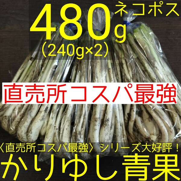 〈直売所コスパ最強〉沖縄県産　Ｗさんの島らっきょう480g以上【ネコポス】②