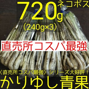 〈直売所コスパ最強〉沖縄県産　Ｗさんの島らっきょう720g以上【ネコポス】⑤