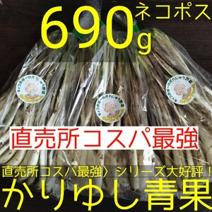 〈直売所コスパ最強〉沖縄県産　Ｋおばーの島らっきょう約690g【ネコポス】①