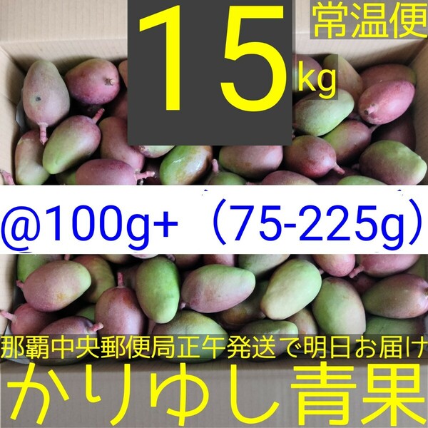 10％off〈@100g+ 75-225g〉沖縄県産 摘果マンゴー/青マンゴー約15kg【常温便無料】②
