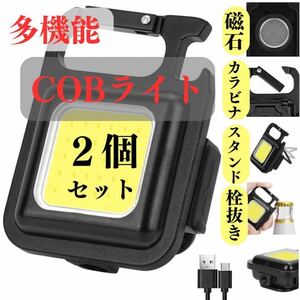 COBライト　２個　ランタン　キャンプ　アウトドア　釣り　散歩　明るい　小さい　夜　LED ライト　USB-C 充電