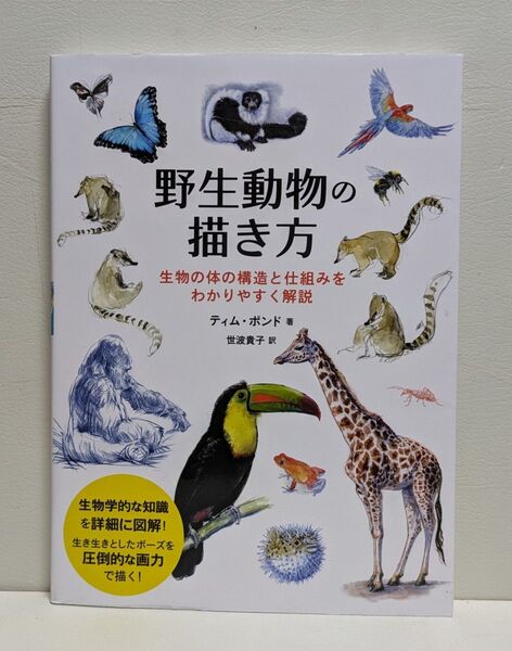 野生動物の描き方 生物の体の構造と仕組みをわかりやすく解説