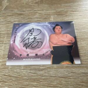  koto .. futoshi BBM2024 large sumo card .60 sheets limitation autograph autograph card SUMO CARDS koto .. futoshi Ozeki sumo 