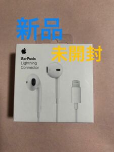 【未開封】純正Apple iPad iPhone iPod 対応イヤホン 