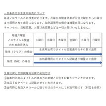 【5/8発送以降のみ受注中】生食用 殻付き 牡蠣 ８ｋｇ牡蠣 殻付き 牡蛎 牡蠣 殻付カキ 加熱出荷時増量１０ｋｇ 松島牡蠣屋 かき kaki 牡蛎 _画像3