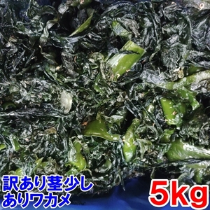 5kg go in salt warehouse wakame seaweed B class goods goods with special circumstances salt warehouse . tortoise small shrimp . small seaweed. removal etc. . un- sufficient however sufficient silk crepe . finished can . cloth. 