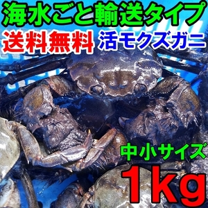 .mokzgani small middle size 1kg( standard 10-20 cup )tsugani... delivery region limited goods ( Shikoku China Kyushu Okinawa is un- possibility ) besides large size . exhibiting .....