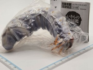 未開封 いきもの大図鑑 くわがた02レア ノコギリクワガタ 幼虫[24e29検Stag beetleカブトムシFigurine地球生命紀行 ネイチャーテクニカラー