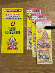 軽井沢おもちゃ王国　入園券　3枚