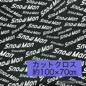 【ハンドメイド】SnowMan ロゴ　カットクロス　生地　布　②