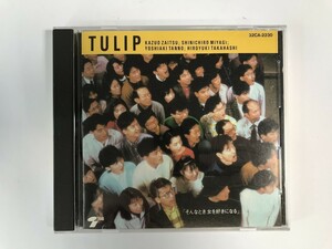 TI348 tulip / such time woman . liking become [CD] 0426