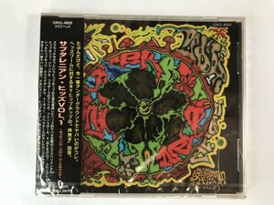 TI589 未開封 オムニバス / サブタレイニアン・ヒッズVOL.1～カッティング・フロム・ワードサウンド～ 【CD】 0429