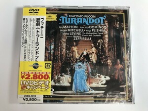 TF981 レヴァインプッチーニ ： 歌劇 「 トゥーランドット 」 全曲 / 未開封 【DVD】 213