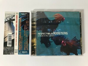 TJ293 RESPECTABLE ROOSTERS-a tribute to the roosters- 【CD】 0512
