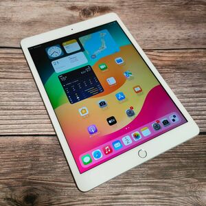 Apple iPad 第7世代 32GB SIMフリー 新品近い